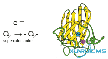 微信圖片_20241017164603 微信圖片_20241017164603