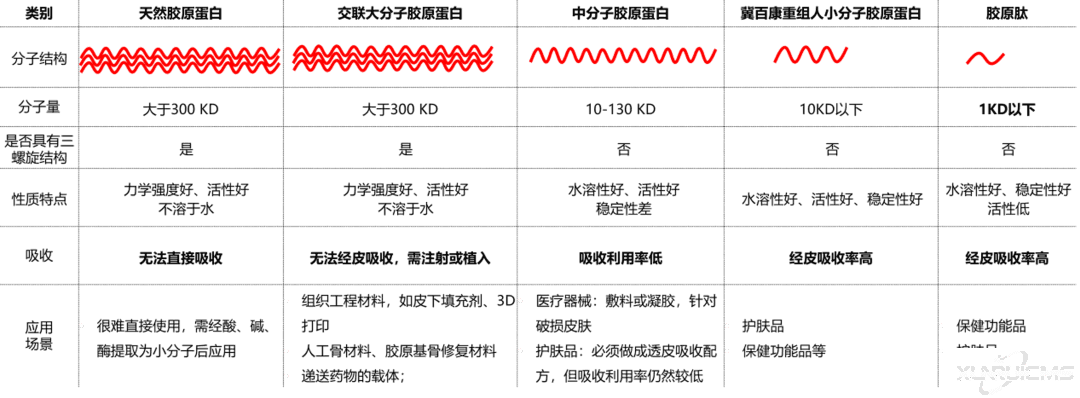 微信圖片_20241022145316