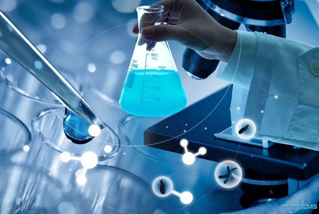 微信圖片_20241022154104 微信圖片_20241022154104