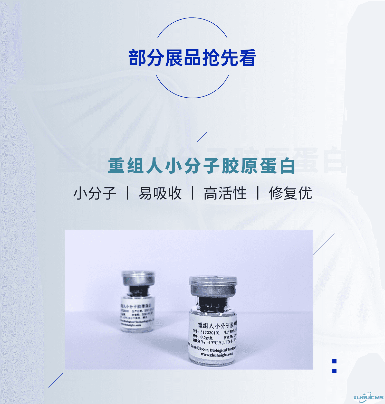 微信圖片_20241022155025