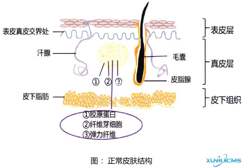 微信圖片_20241023134004 微信圖片_20241023134004