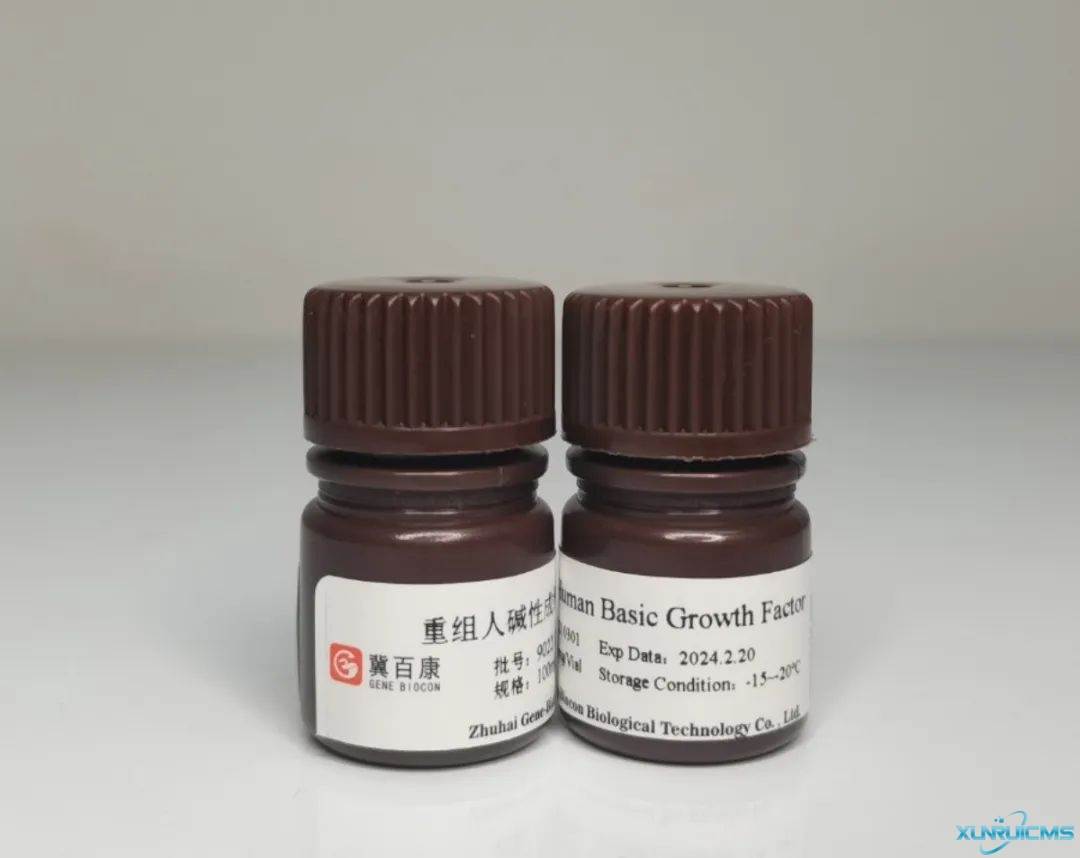 微信圖片_20241023154926