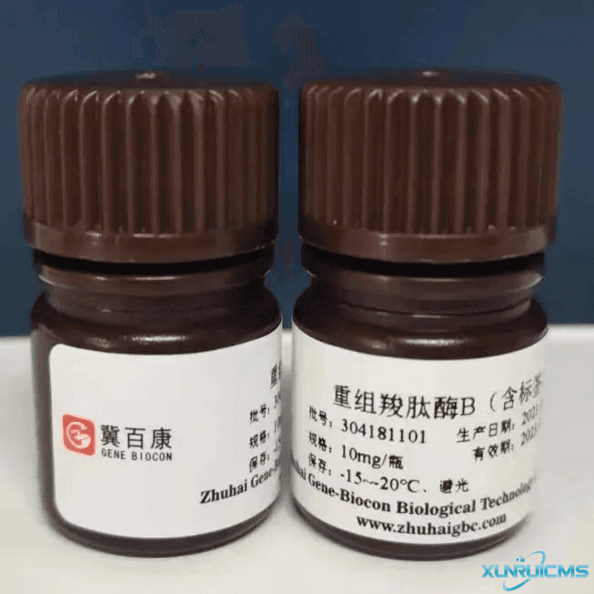 微信圖片_20241024094424