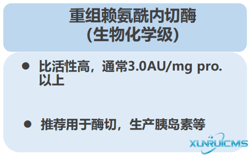 微信圖片_20241024143539 微信圖片_20241024143539