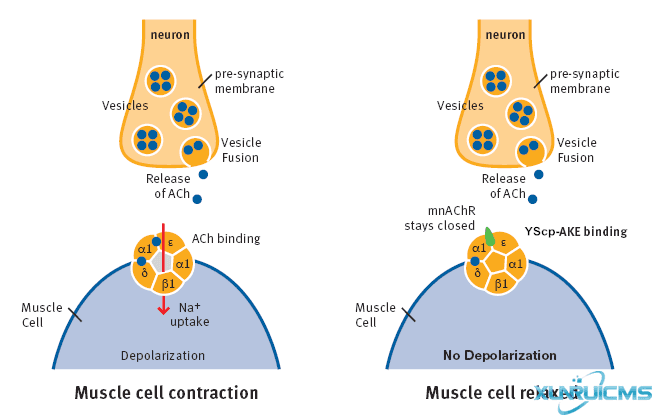 微信圖片_20241024162712 微信圖片_20241024162712