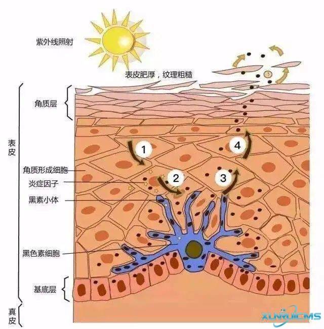 微信圖片_20241029084337 微信圖片_20241029084337