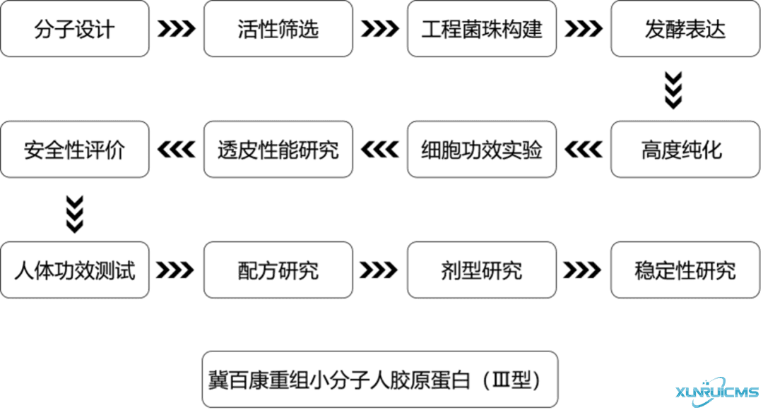 微信圖片_20241101134446 微信圖片_20241101134446